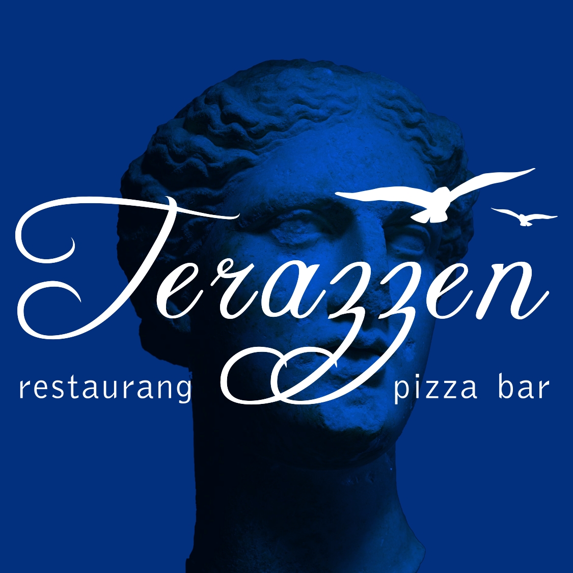 Terazzen - Restaurang i pizza bar i Byxelkrok